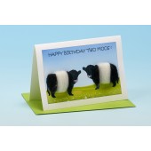 C14 Black and White Cow Card-HAPPY BIRTHDAY TWO MOOS