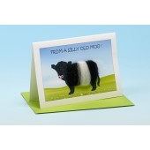 C17 Black and White Cow Card-FROM A SILLY OLD MOO