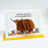 C22 Highland Cow Card HIP HIP MOO-RAY