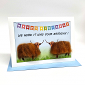 C23 Highland Cow Card WE HERD IT WAS YOUR BIRTHDAY