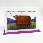 C24 Highland Cow Card HAVE AN UDDERLY GREAT BIRTHDAY