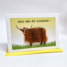 C26 Highland Cow Card MOO ARE MY SUNSHINE