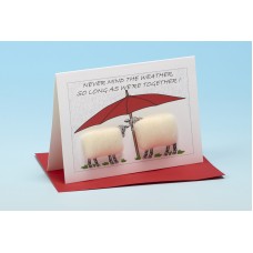 S152 Sheep Card-NEVER MIND THE WEATHER