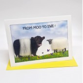 S173 Sheep Card-FROM MOO TO EWE