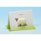 S33 Sheep Card-THANKEWE
